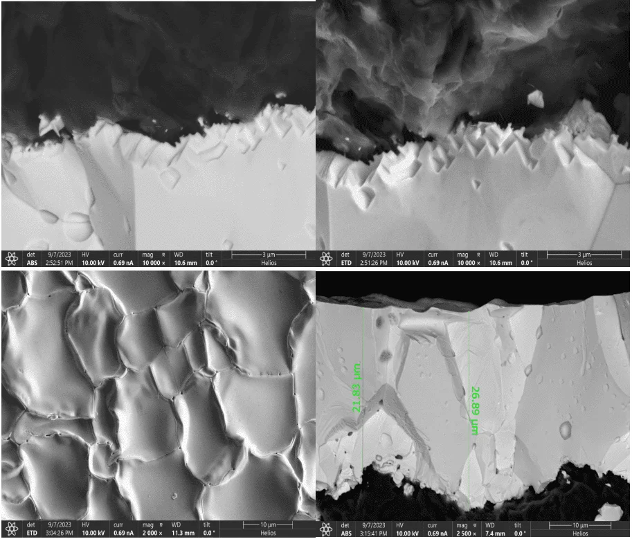 Tantalum carbide coating on a microscopic cross-section