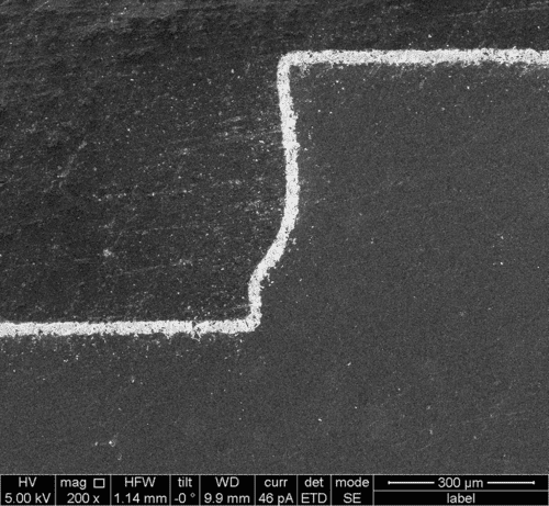 TaC coating with high crystallinity and excellent uniformity 300 μm